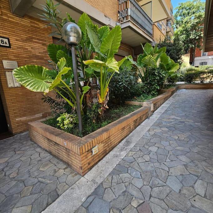 Maisonette San Pietro Apartment